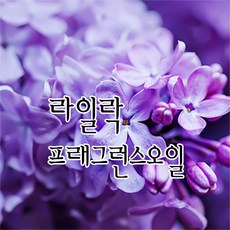 [허니솝] 프래그런스 오일 20ml 50ml 100ml 비누만들기재료 화장품DIY, 03. 라일락f.o x 20ml, 1개