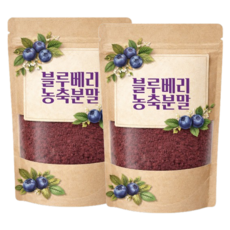 blueberry 블루베리농축분말 미국산 블루베리, 2개, 300g