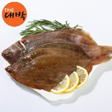 제철 자연산 봄 도다리 도다리쑥국, 급냉 도다리 1kg, 1개