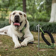 캠핑 강아지 목줄 스텐 고정팩 30cm 1P 말뚝 안전팩_ 2027564EA, K45-30(30cm)