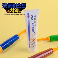 반려동물 전용 펫페이스트 치약/펫브러시 칫솔 교체형2개 택1, 펫브러시 칫솔 교체형 2개
