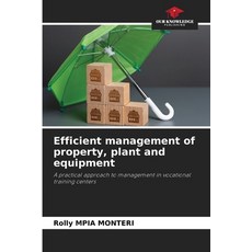 (英文圖書)Efficient management of property plant and equipment 平裝版, Our Knowledge Publishing, 英文