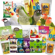 앵무새 먹이 모이 코뉴어 퀘이커 모란 왕관 잉꼬 사랑앵무 사료, 초소형-02.마니토바 잉꼬, 1개, 1kg