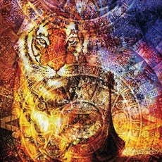 그리고 호랑이 직소 조각퍼즐 1000피스 달력 마야의 36317PC 1(EA), 1개