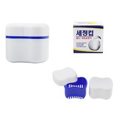 간편 물빠짐 의치 틀니세정컵 유지장치보관통 위생 틀리통 틀니통 추천