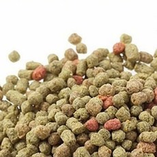 금붕어 사료 250g 물고기사료 관상어먹이_20260201EA