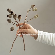 금성여자 플랜테리어조화 생화같은 조화 행잉식물, 1개, 10송이