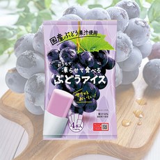 집에서 얼려 먹는 포도 아이스, 4개, 70g