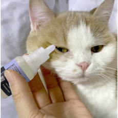 두카메디 셀케어 고양이 전용 인공눈물 아이드롭 고양이 눈곱 이물질 보습 충전 데일리 케어, 1개, 10ml