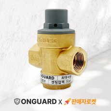 온가드 감압변 감압밸브 15A 전기온수기 유체압력조절