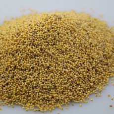 2025년 국산 메조 메좁쌀 찰기없는 좁쌀 모조, 1개, 1kg