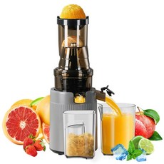 착즙기 자동 과일 야채 올인원 원액기 녹즙기 쥬스믹서기, 회색, 1