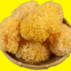굿앤블루 건 백목이버섯 흰목이버섯 은이버섯, 500g, 1개