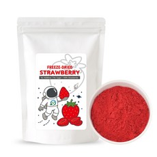 앤네이처 딸기 파우더, 2개, 100g