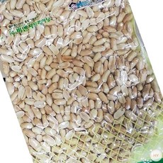 튀김땅콩 비엔지 1kg 조미땅콩 깐땅콩