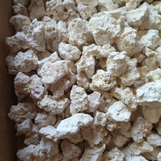 셀렉트하루 데드락 어항 장식 산호, 작은 석재, 1개, 기본 색상