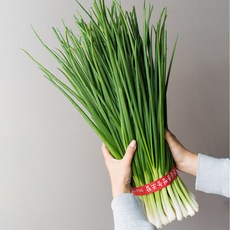 [집밥 필수템] 국내산 깐쪽파 / 손질되어 편리한 세척쪽파, 1개, 10kg