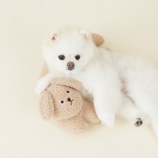 펫본 모던하우스 반려동물 뽀글이강아지 펫필로우, 1개, BROWN