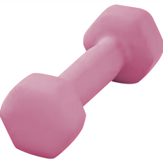 IKA 實心鑄鐵啞鈴 居家健身 防滑設計, 1個, DB02粉實心鑄鐵啞鈴:1KG-2入