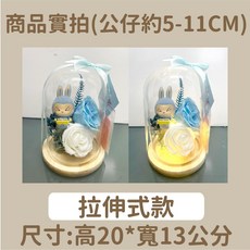 LABUBU情人盆中花玻璃永生花，告白求婚乾燥花束，情人節送禮首選，台灣現貨開發票, 拉伸式款