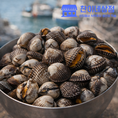 꼬막 벌교꼬막 당일채취 당일배송 대 1kg 새꼬막, 1개, 상3kg