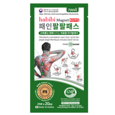 패인팔팔패스 자석패치 의료용자기발생기, 1개, 20매