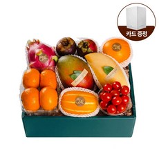 [올프레쉬] 프리미엄 제철과일 4호 8종 (감귤 망고스틴 외) 2.3kg이상 - 27년 국내 1호 과일소믈리에