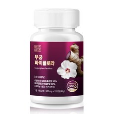 무궁 플로라 핏 무궁화 파미플로라, 1개, 120정