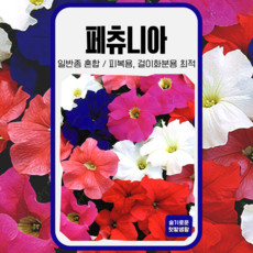 페츄니아 씨앗 200립 사이버가든 페튜니아 씨 꽃씨 꽃씨앗 화단 화훼 종자 일년생 일반종, 1개