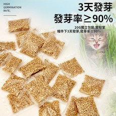 水培貓草培養盆 7天收成 加拿大產小麥草培養盆 DIY貓草盒套裝, 1個, 加拿大小麥草種子20g(約600粒)*6