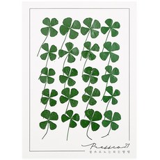 네잎클로버 압화 압화꽃 조화 압화재료 프레스코21, 소