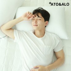 아토앤알로 호텔용 마이크로화이바 베개솜 2개세트