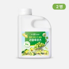 흥국 리얼후르츠멜론L 1kg x 2개 아이스박스 포장, 1kg x 2개 (1개입 x 2개)