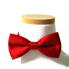 늘넷 나비넥타이 빨강