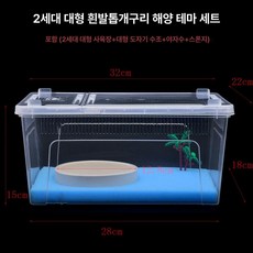 아크릴 사육장 양서류 사육 게코 팩맨 거북이 투명 용품 피그미다람쥐 오픈형 집 대형 세트, 1개, 2세대대형개구리해양경관세트