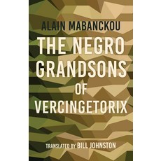 (영문도서) The Negro Grandsons of Vercingetorix Paperback, Indiana University Press, English, 9780253043887