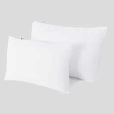 극세사 진드기 차단 베개솜 40x60, 2개