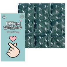 해피원 1인용 의자 핫팩 사무실 1인 발열방석