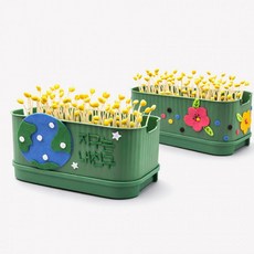 체험교실 DIY 창의력 어린이집 뚝딱 콩나물 키우기 키트 사각시루 만들기 그림 그리기, 무당벌레, 1개