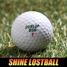 [샤인로스트볼] DDH 던롭 [특/A+등급], 1세트, 30개입, 화이트