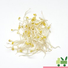 사라상회 꼬불이 콩나물 4Kg, 1개