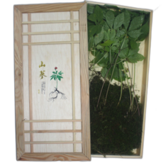 자연삶 15년근 강원도 산삼 산양삼 산양산삼, 20g, 3개