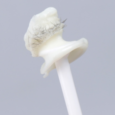 코털 왁싱 코털용 셀프 가정용 콧털 왁스 개인용 키트 간편 관리 정리 제거, 8g, 1