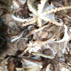 당일조업 서해안 활 쭈꾸미 자연산 알배기 50%, 1박스, 2kg (24미 내외)