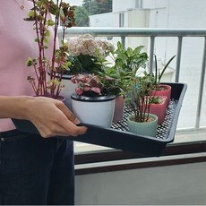 식집사 식물트레이 정사각 모종 모판 받침판 트레이 모종판, 없음