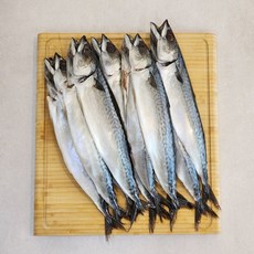 부산 자반고등어(소) 12마리 자반고등어(대) 10마리, 10개, 450g - 500g 내외