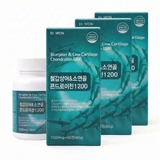 철갑상어 콘드로이친 1200 C6S 6형 뮤코다당단백 소연골 식약청 인증 HACCP, 3개, 60정
