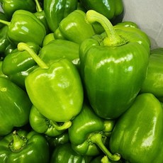 국내산 청피망 1kg 상, 없음, 1개