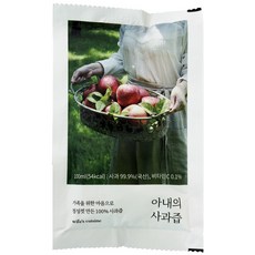 아내의 사과즙 선물세트 100% NFC 착즙, 21팩, 100ml