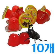 PetsOK 곤충 젤리 사슴벌레 장수풍뎅이, 수액젤리, 10개